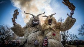 Mohácsi busójárás