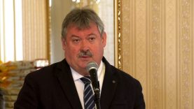 V Németh Zsolt