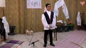 X. Ipolyi Arnold I_kat- Gallo Árpád, Vecseklő