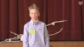 XXVIII. TMOV II. kategória vers – Algayer Leo