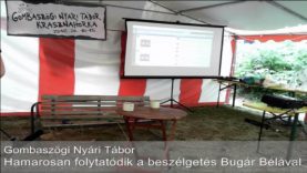 2012 Bugár-Berényi