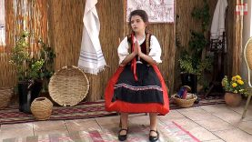 X. Ipolyi Arnold II_kat- Dubík Sonja Antoinette, Királyhelmec