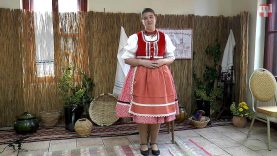 X. Ipolyi Arnold II_kat- Pollák Zsófia, Gúta