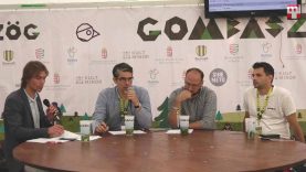 GNYT_2019_Kisebbségi jelképek használata Szlovákiában és a himnusztörény 2