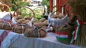 Szent István-nap és az Új kenyér ünnepe