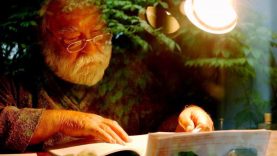 Sára_Sándor – Sára Júlia felvétele