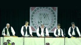 Szögedi Tiszavirág Citerazenekar