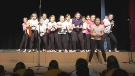 a komáromi Eötvös Utcai Magyar Tannyelvű Alapiskola Színt Vivők Színjátszó Csoportja