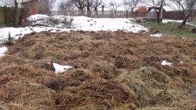 mélymulcsos kertművelés