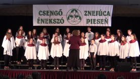 Fegyverneki Ferenc Közös Igazgatású Katolikus Iskola Magnificat Gyermekkara – Ipolyság