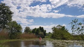 bodrog-arter-bodrogzug-vizitura – forrás Internet