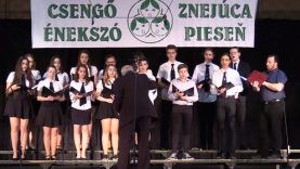 A Selye János Gimnázium énekkara és hangszeres kamaraegyüttese