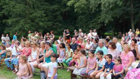 Muzsikál az erdő a városi parkban