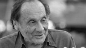 Domonkos Domi István