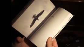 Bolemant László kötete