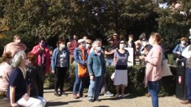 Pozsonyi házdísznézőben