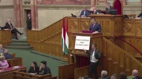 Herr Diktator