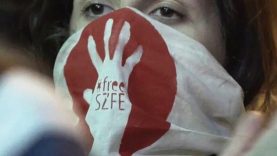 FreeSZFE