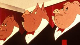 800x350_24395_allatfarm_200928_02