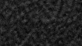 Ulrich Gábor: Dűne – részlet