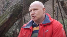 Kántor István