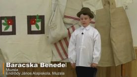 IANV2021 – Baracska Benedek