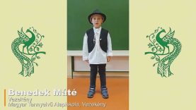 IANV2021 – Benedek Máté