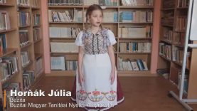 IANV2021 – Horňák Júlia