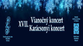 Blue New Year Banner With Sparkling Snowflakes. Christmas Beauty Background.