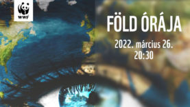 65dfd8cd29834a12b31e97899b6e5e10