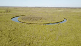 749w10000h1muser_97969_pic_1515543320_img_5a555b18ad49d