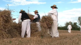 Aratóünnep Nyékvárkonyon