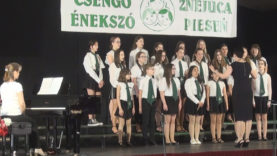 Egressy Béni Városi Művelődési Központ és a Jókai Mór Alapiskola Gyermekkara