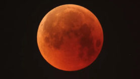 Blood Moon