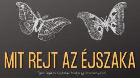 1080 x 1080 px, SK-HU – 4