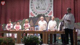 A Nemeshodosi Citerazenekar története