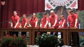 Diócska Citerazenekar – Diószeg