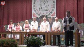 Nemeshodosi Citerazenekar (2)