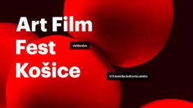 29. Art Film Fest