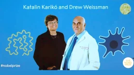 kariko katalin nobel dij