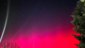 Čečejovce, Erika Guľová