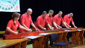 Citeratalálkozó – Dió héj Citerazenekar