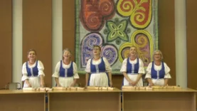 Nagyabonyi Citerazenekar Nagyabony