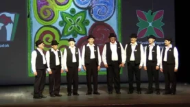 Tardoskeddi Férfikar