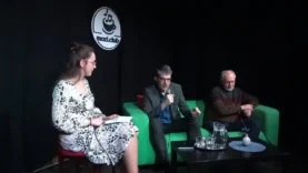 A felvidéki magyar politika állapota és lehetséges útjai