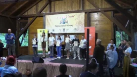 Ipolyi Arnold dijkioszto