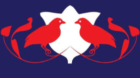 449689343_986156256535167_6778930763687773070_n