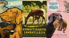 beavatas-a-termeszet-titkaiba-fokuszban-homoki-nagy-istv-60e8a238-6862061