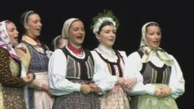 Csallóközi 70-2.mp4_snapshot_26.45_[2024.12.30_12.21.32]