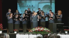 75 éves a Csemadok bősi alapszervezete-4